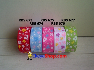 Pita RBS 673 677  large2